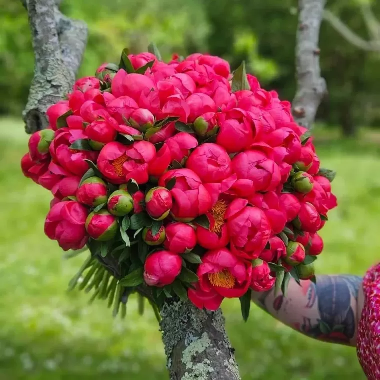 Bouquet pour la fête des Mères à Audenge , Audenge, Fleur à Fleur