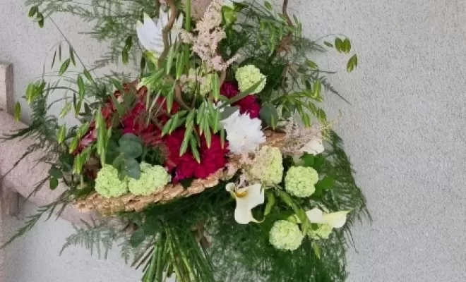 Fleurs & plantes, Audenge, Fleur à Fleur