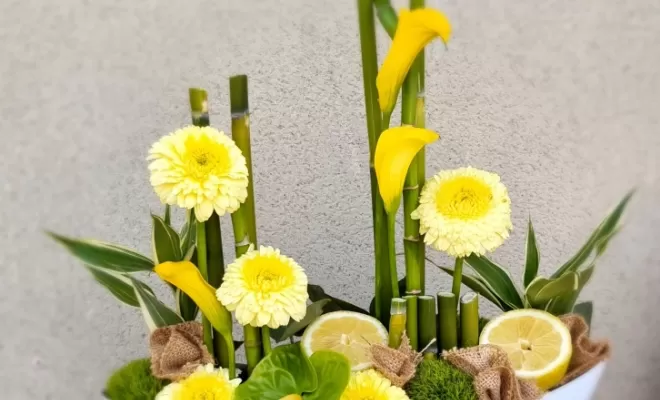 Fleurs & plantes, Audenge, Fleur à Fleur