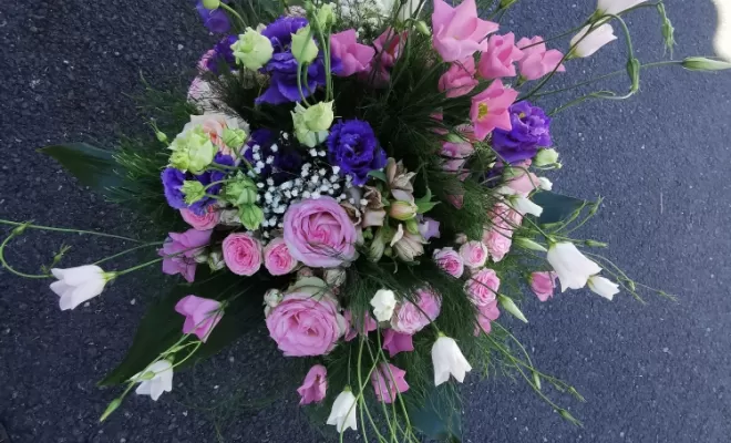 Fleurs & plantes, Audenge, Fleur à Fleur